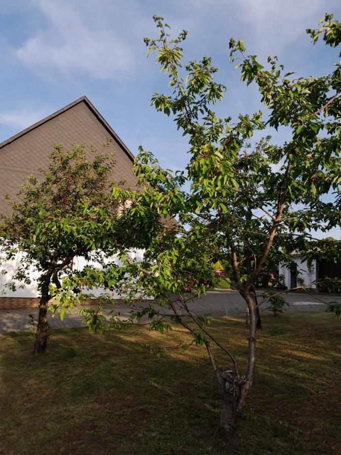 Casa Natur Медебах Экстерьер фото